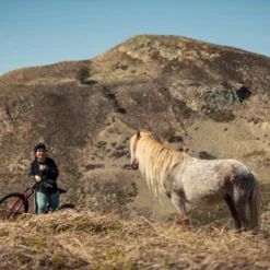 Santa Cruz Bronson 4 C MX XT Gloss Moss En Blauw -Trap Vlot Verkoopwinkel 1280 6VPJsz5IKAO81Yec