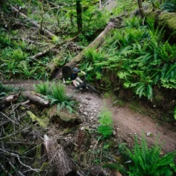 Santa Cruz Hightower 3 C GX AXS Kit Matt Evergreen -Trap Vlot Verkoopwinkel ITS 8948eTrtTp6GvtjwR scaled