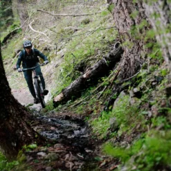 Santa Cruz Hightower 3 C GX AXS Kit Matt Evergreen -Trap Vlot Verkoopwinkel ITS 9203rbRy5DFNdjB7f scaled