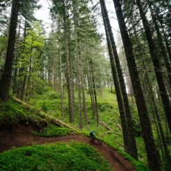 Santa Cruz Hightower 3 C GX AXS Kit Matt Evergreen -Trap Vlot Verkoopwinkel ITS 9862N4G29hkvi1zXi scaled