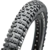 MAXXIS Creepy Crawler R Clincher Band - 20x2.50 Inch - SuperTacky - Trial