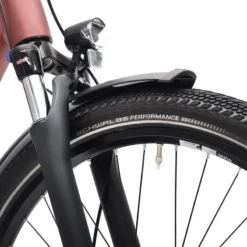 Winora Sinus N5 Lage Instap - Maroonred Matt -Trap Vlot Verkoopwinkel Winora MY21 Detail Lights Sinus N5